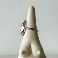 Vulva Ring