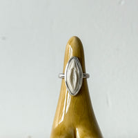 Vulva Ring
