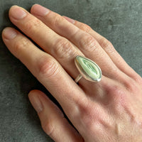 Vulva Ring
