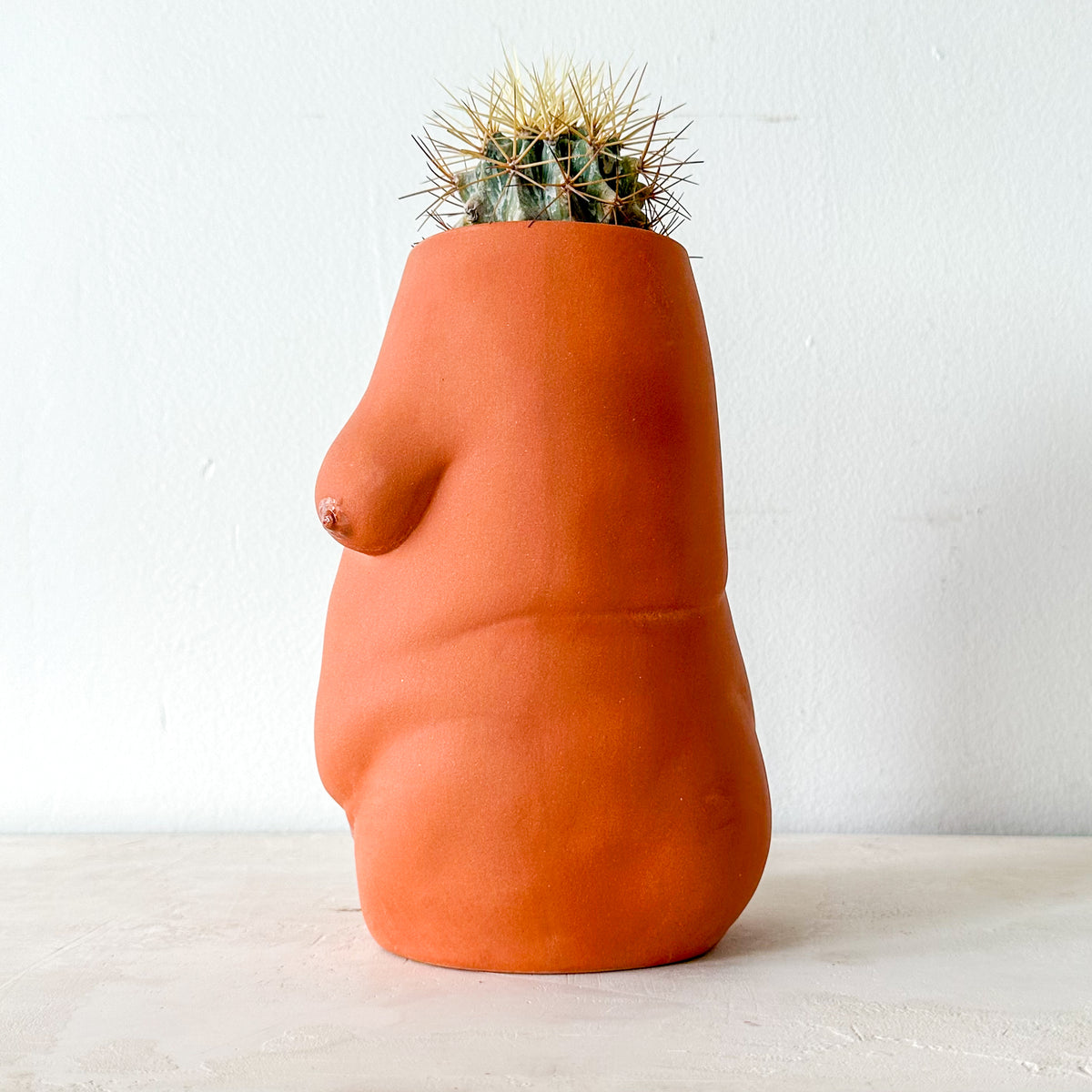 Venus Planter
