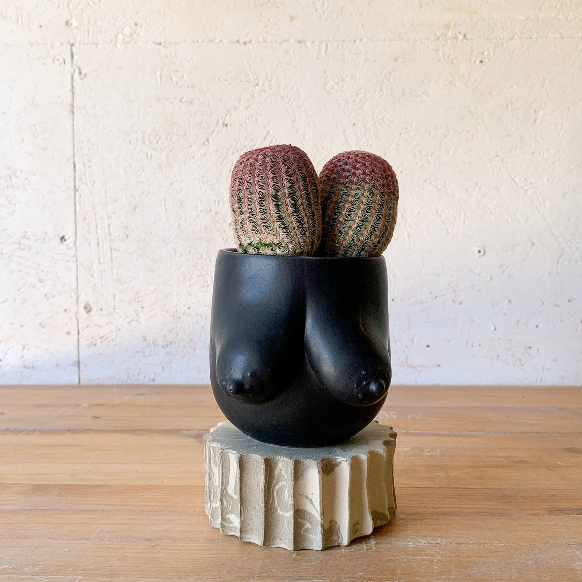 Sasha Planter — SECOND