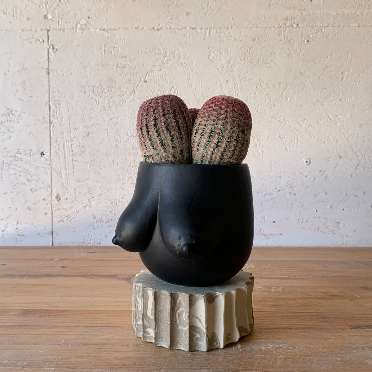 Sasha Planter