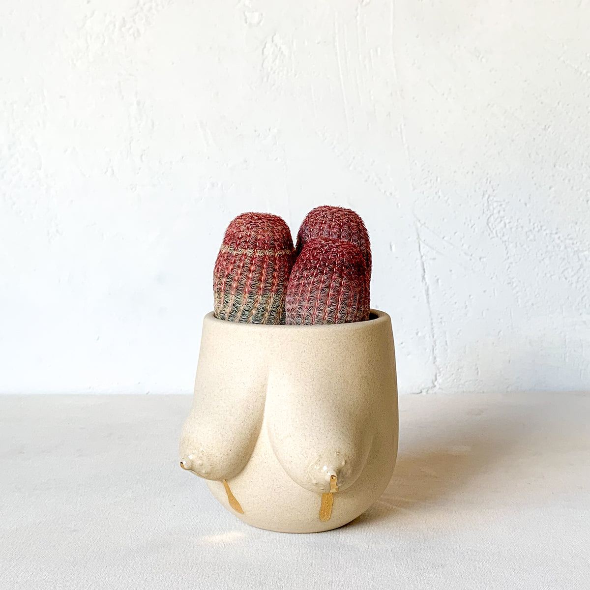 Sasha Planter -- Liquid Gold