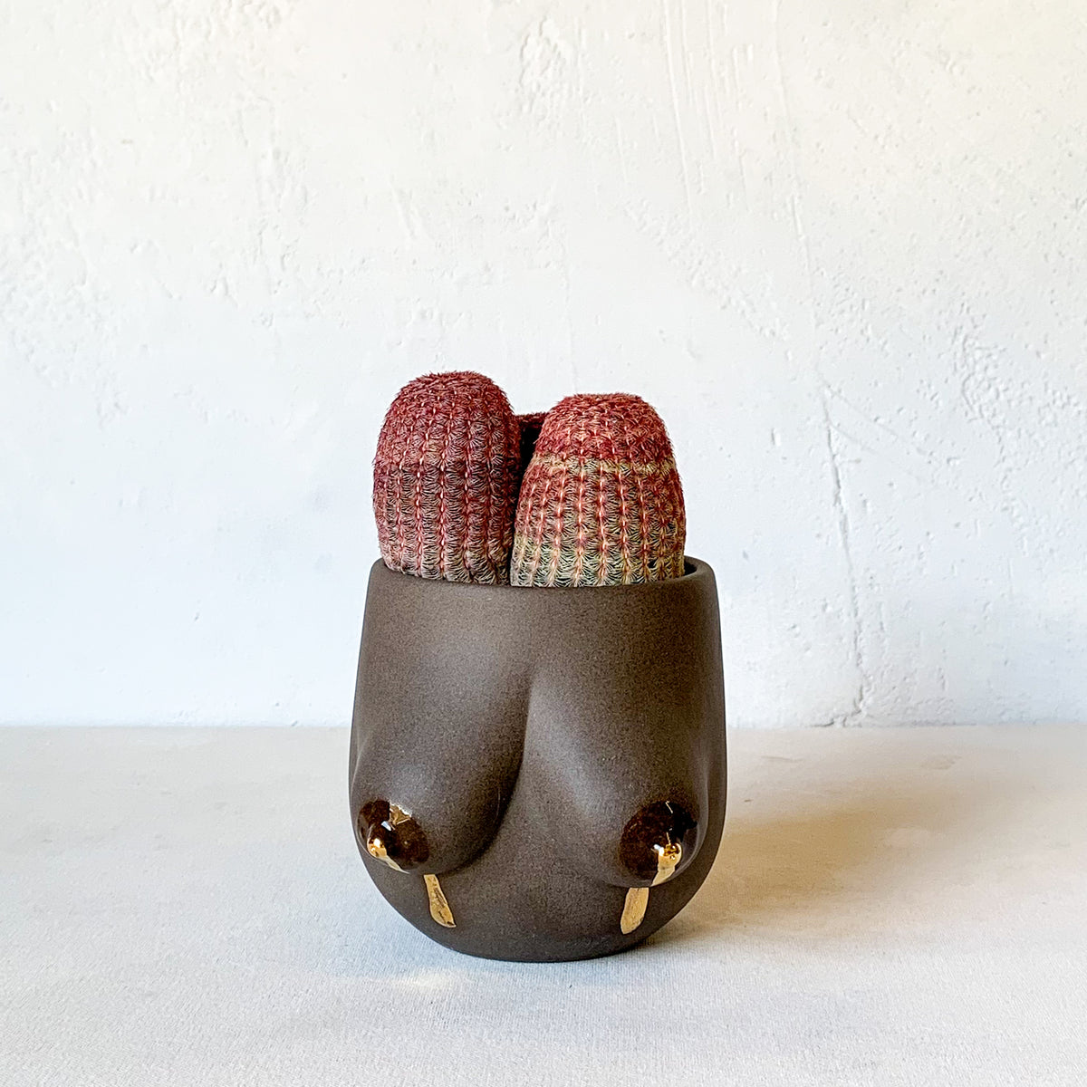 Sasha Planter -- Liquid Gold