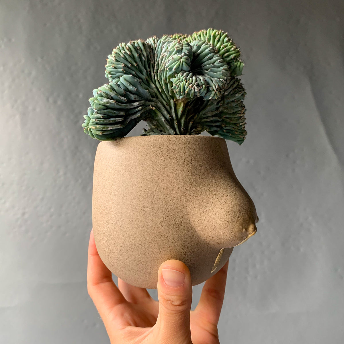 Sasha Planter -- Liquid Gold