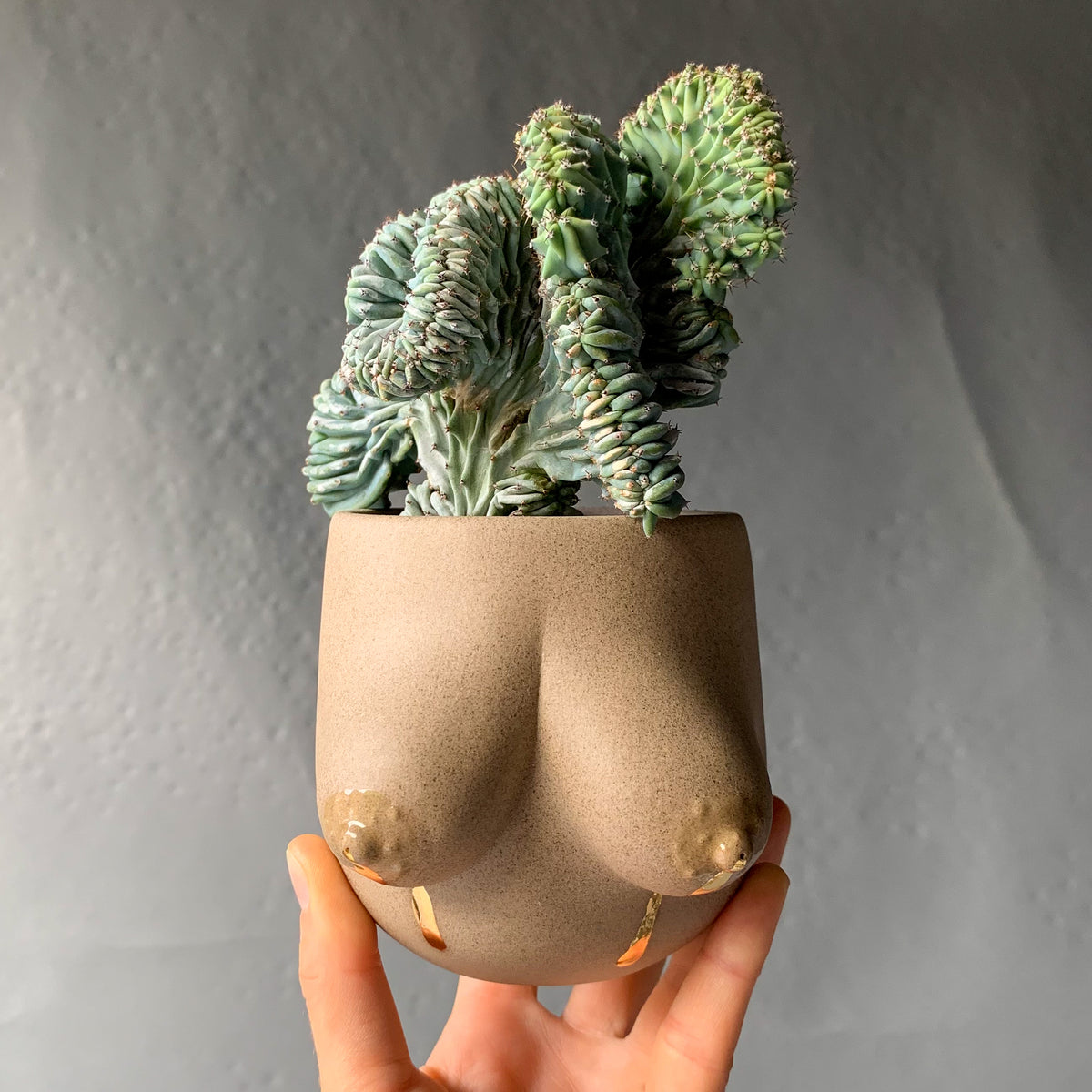 Sasha Planter -- Liquid Gold