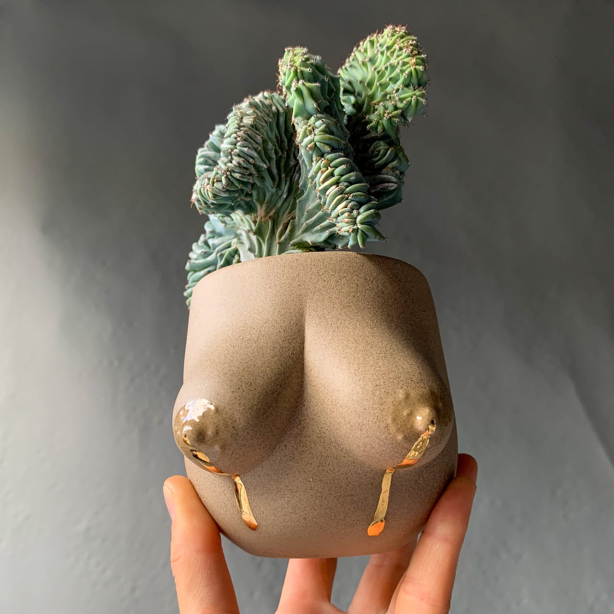 Sasha Planter -- Liquid Gold