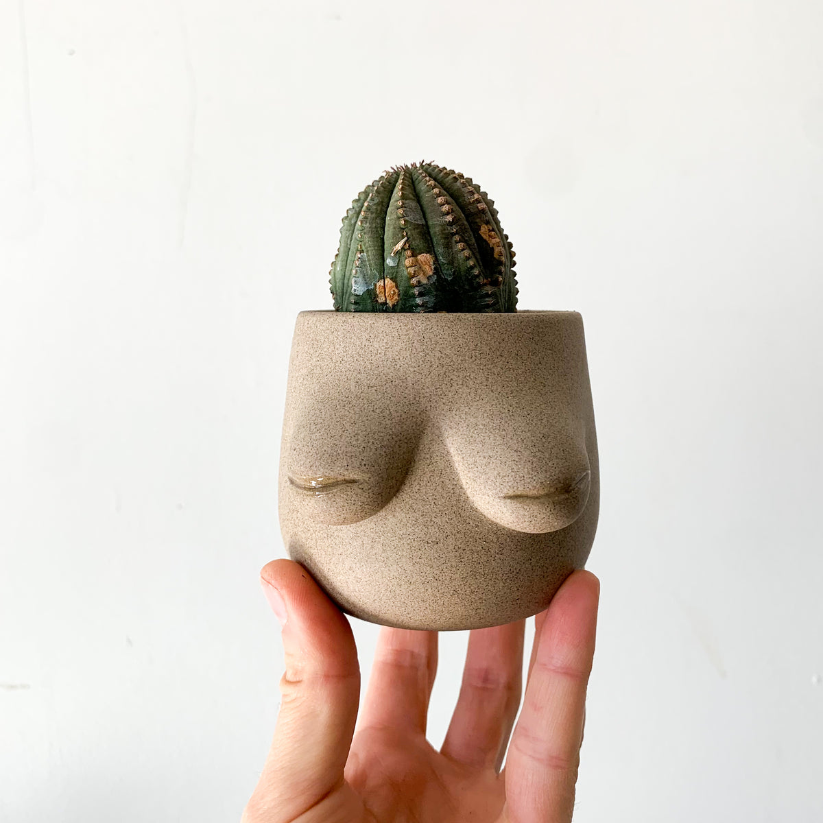 Evangeline Planter -- Warrior