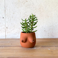 Evangeline Planter