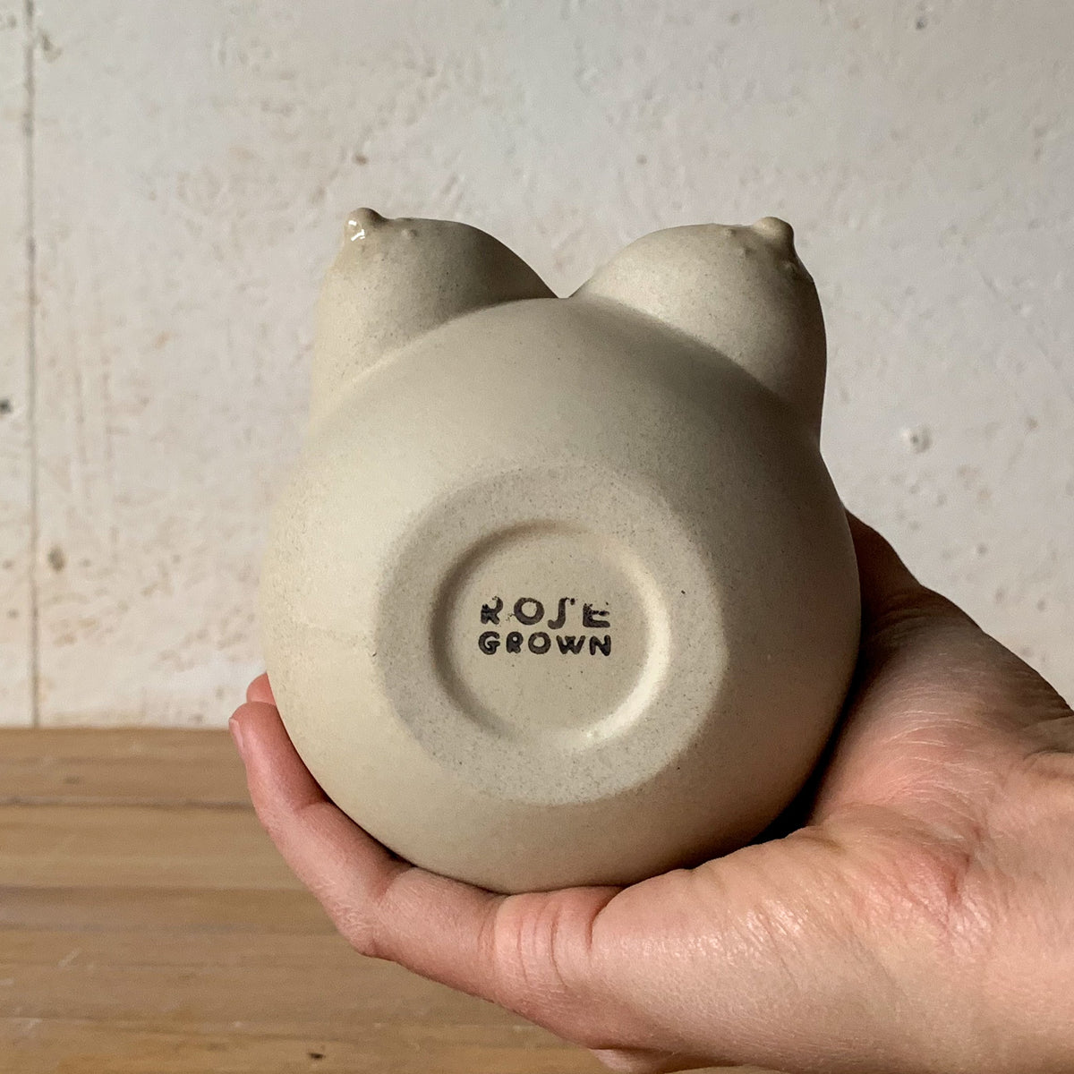 Sasha Vessel