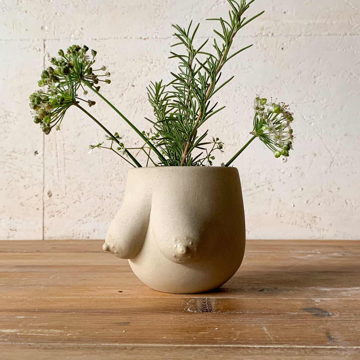 Sasha Vessel