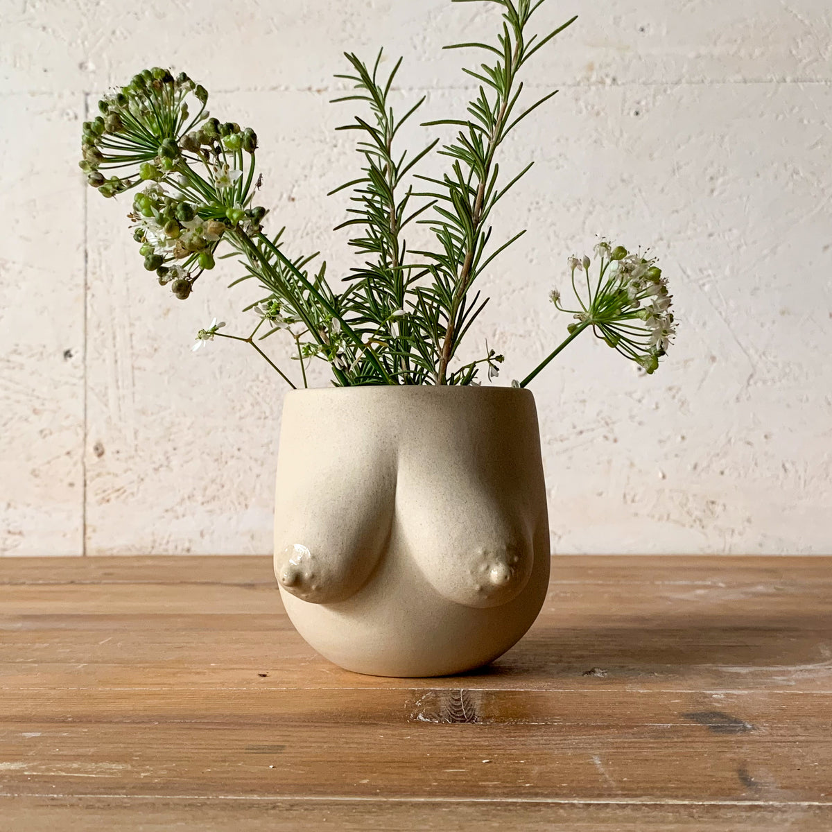 Sasha Planter