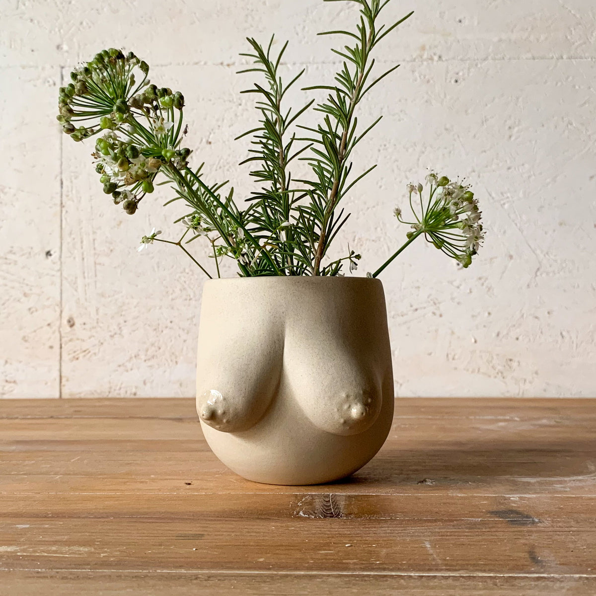 Sasha Vessel