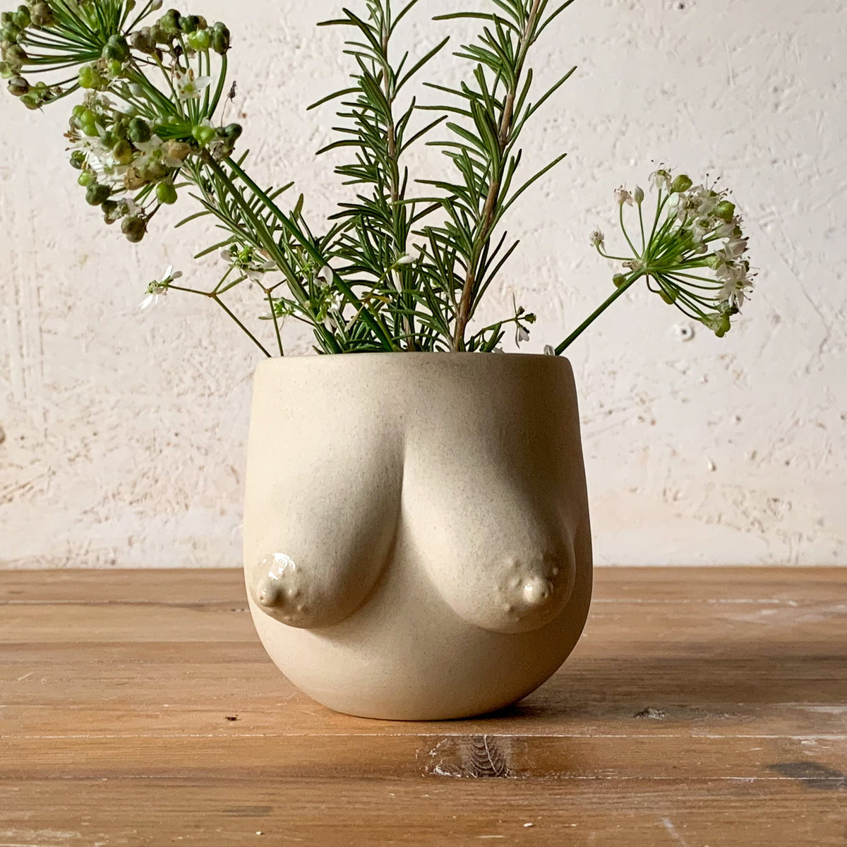 Sasha Vessel
