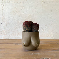 Sasha Planter — SECOND