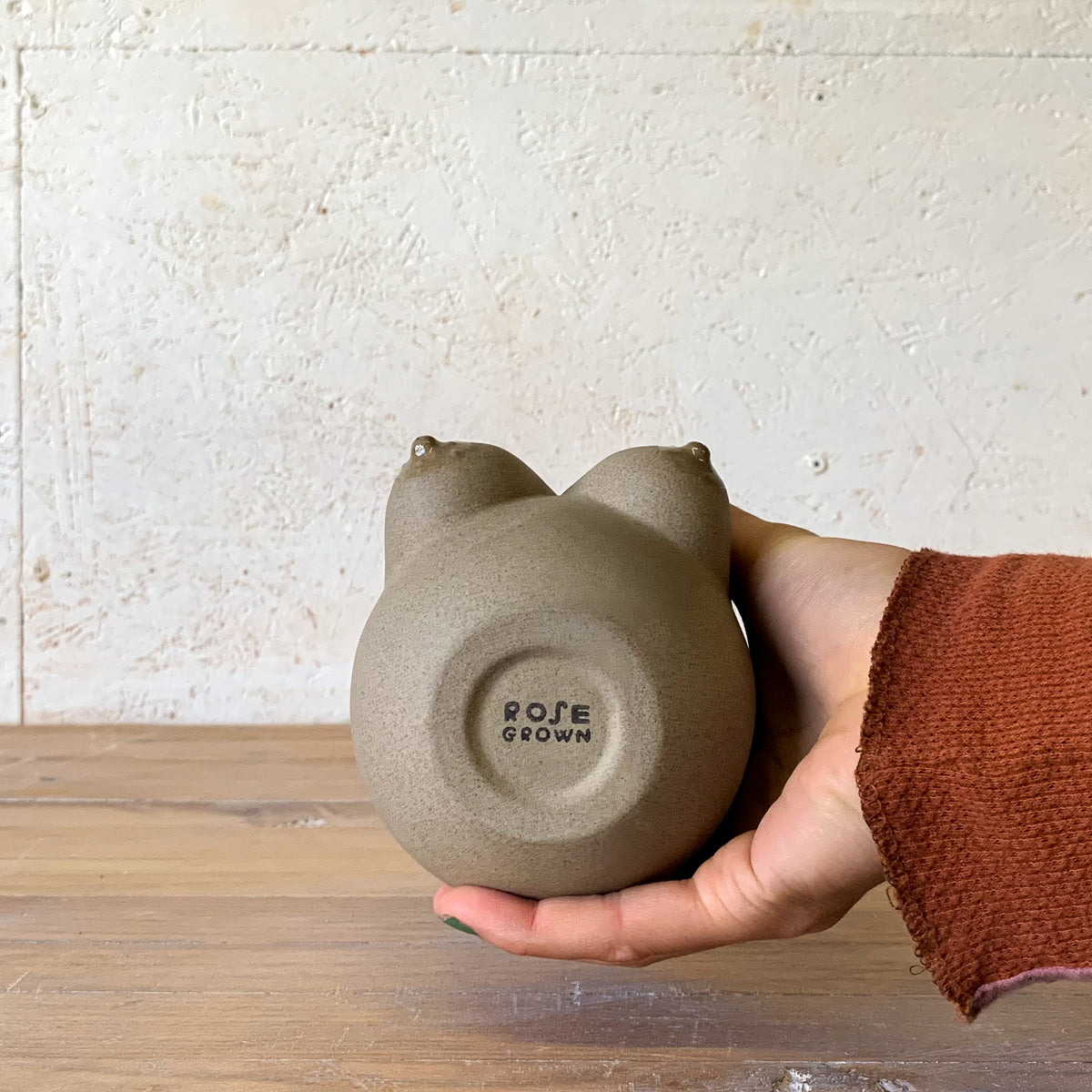 Sasha Vessel