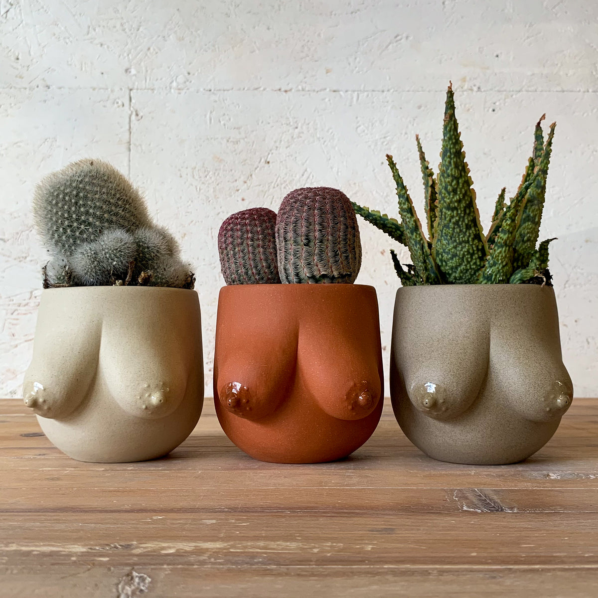 Sasha Planter