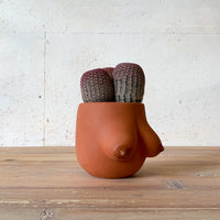 Sasha Planter
