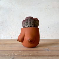 Sasha Planter — SECOND