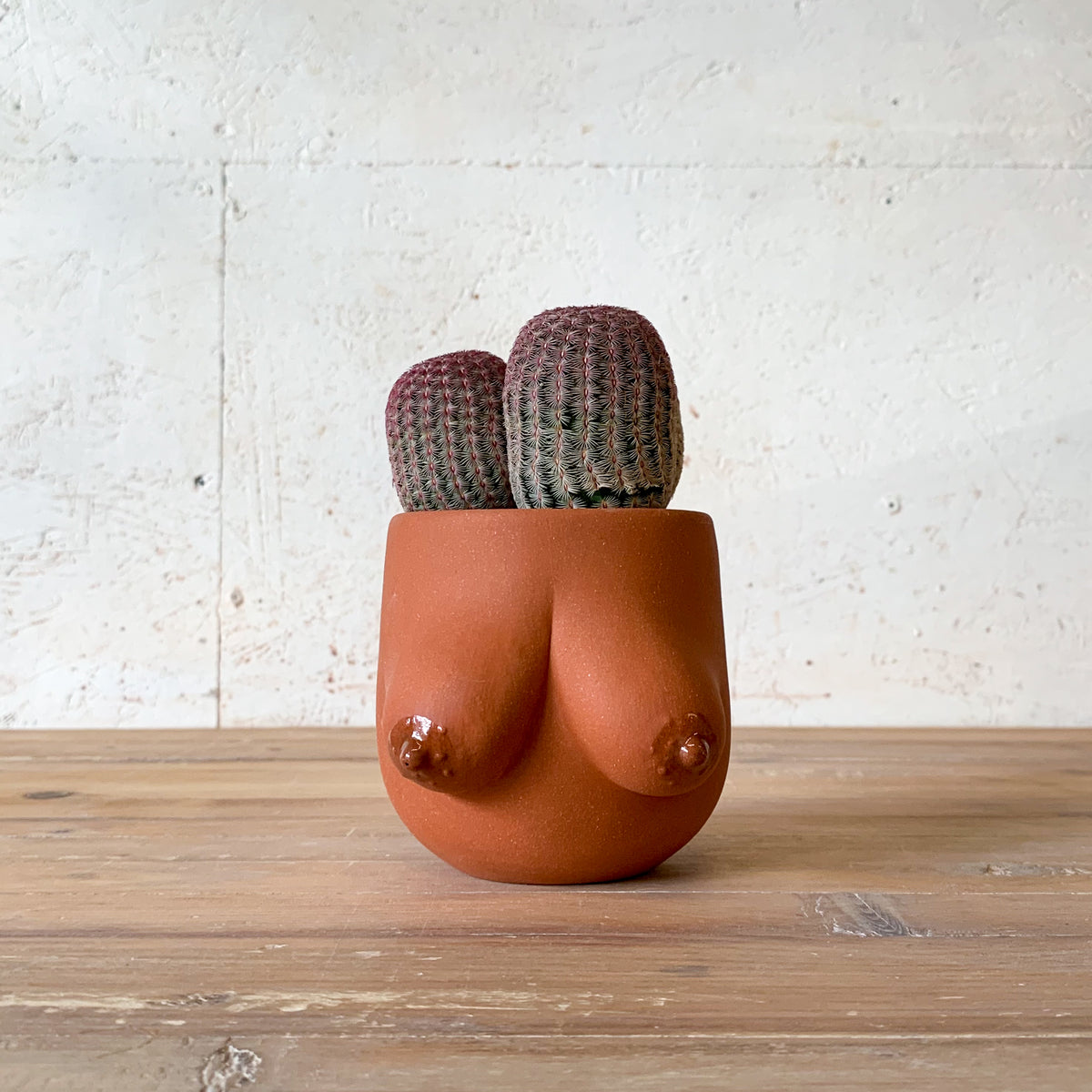 Sasha Planter