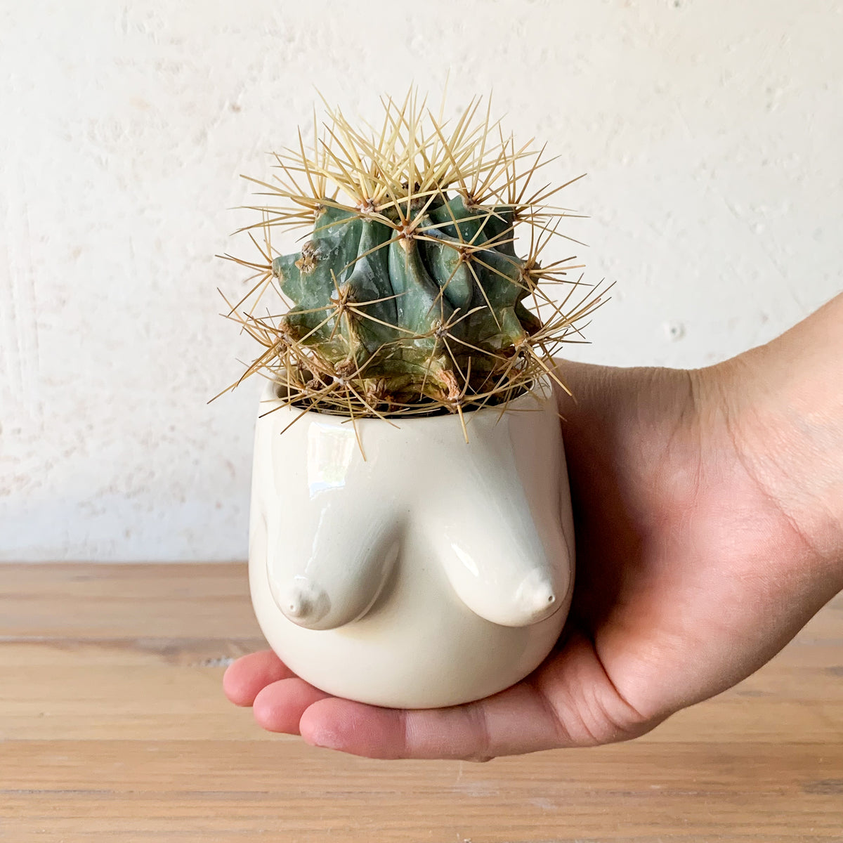 Evangeline Planter