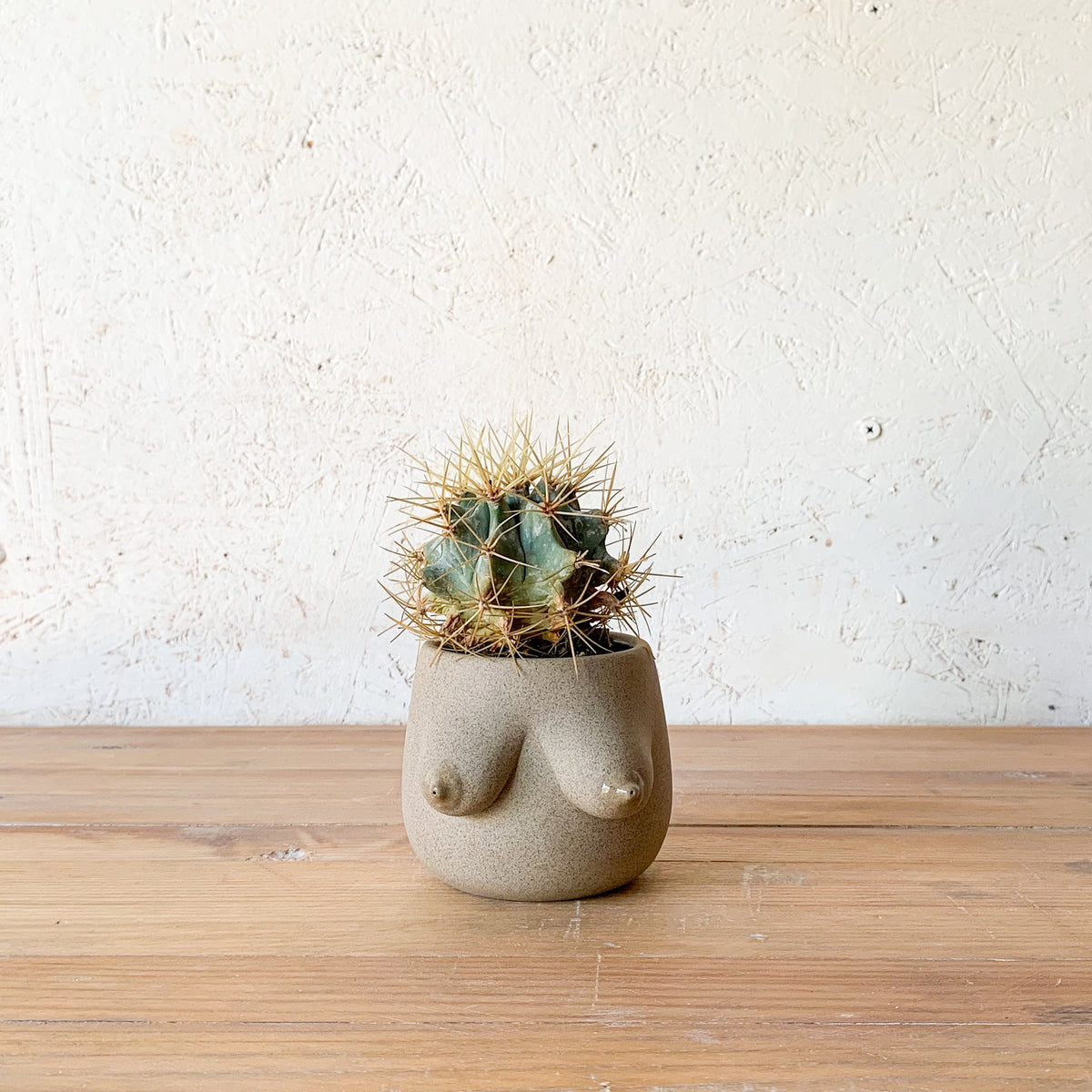 Evangeline Planter
