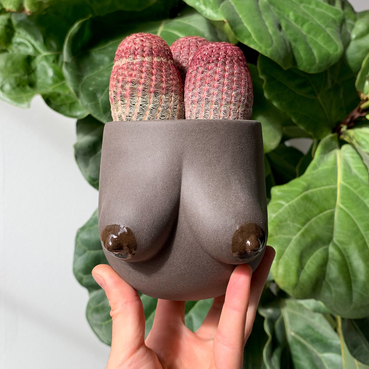 Sasha Planter