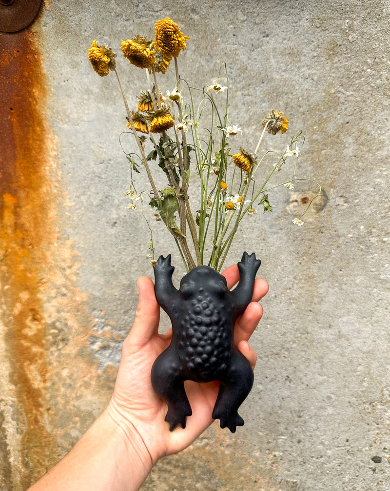 Toadie Wall Vase