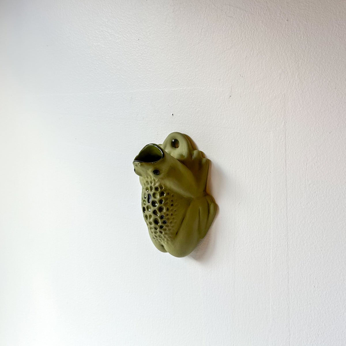 Wall Toad