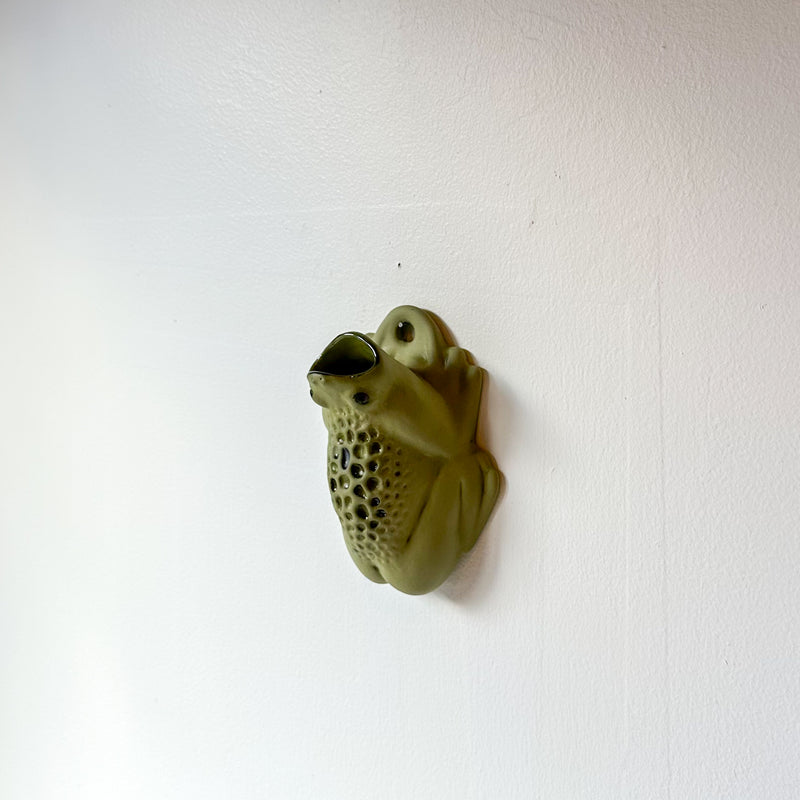 Wall Toad