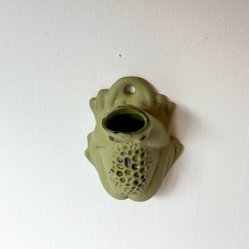 Wall Toad