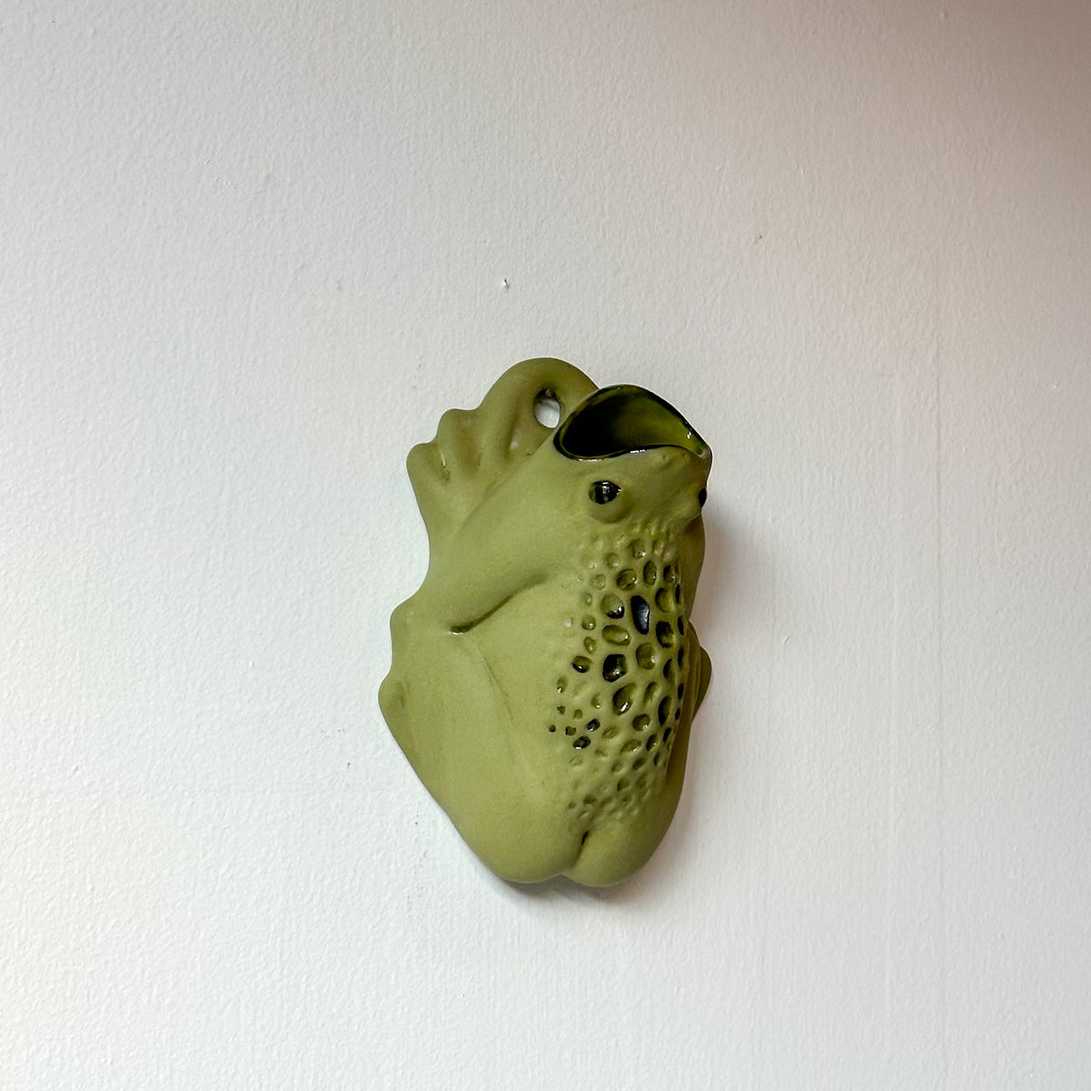 Wall Toad