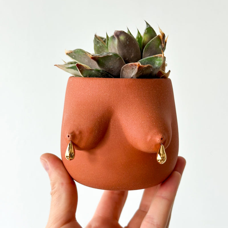 Drippy Evangeline Planter