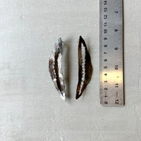 SAMPLE Leaf Earrings