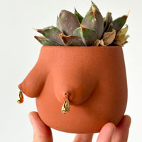 Drippy Evangeline Planter