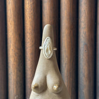 SECOND Vulva Ring