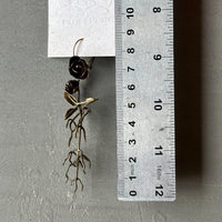 SAMPLE Uprooted Earring