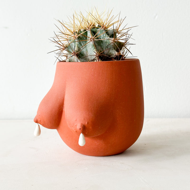 Drippy Sasha Planter