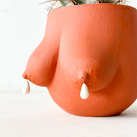 Drippy Sasha Planter