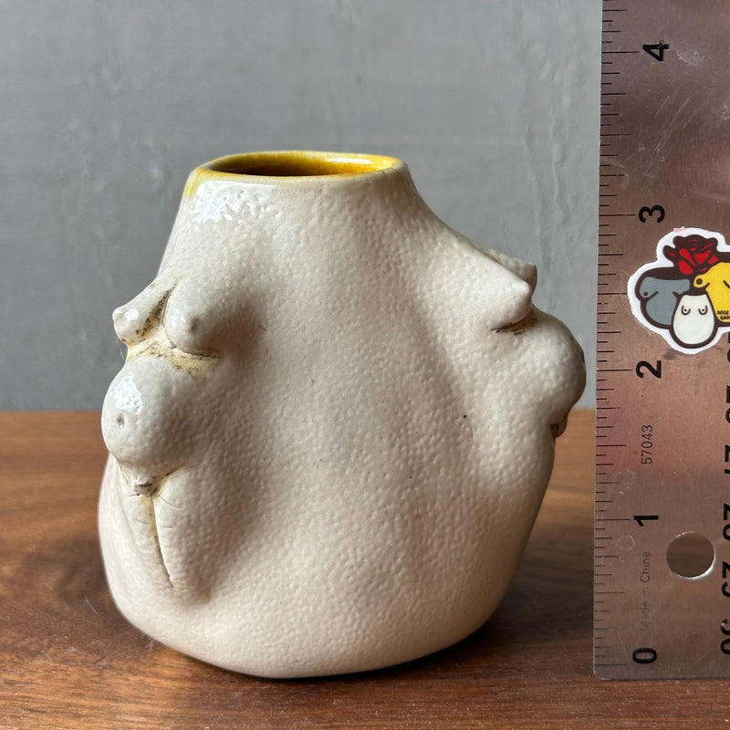 SAMPLE Pregnant Vase