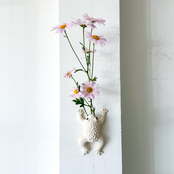 Toadie Wall Vase