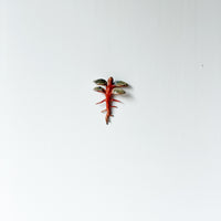 Dickweed Wall Scupture