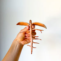 Dickweed Wall Scupture