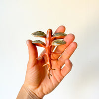 Dickweed Wall Scupture