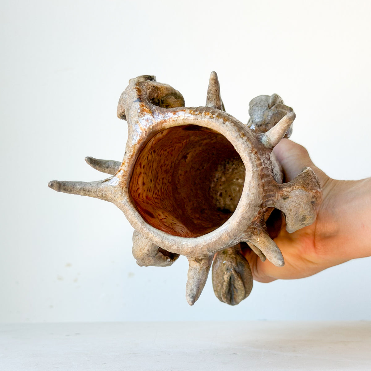 Vulva Tree Vase