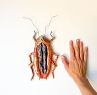 Twat Roach Wall Scupture