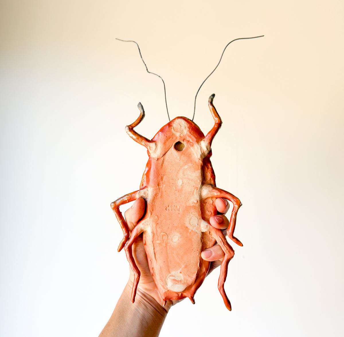 Twat Roach Wall Scupture