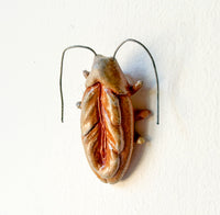 Twat Roach Wall Scupture