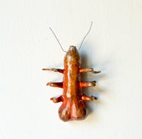 Dick Ant Wall Scupture