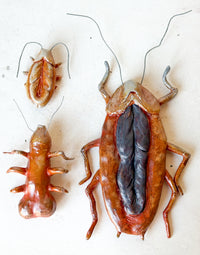Dick Ant Wall Scupture